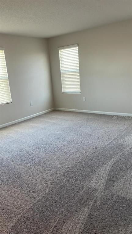 1064 Sugarwood Street - Photo 34