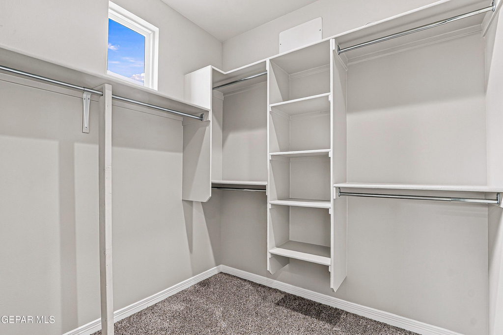 10748 Walden Pond Street - Photo 3