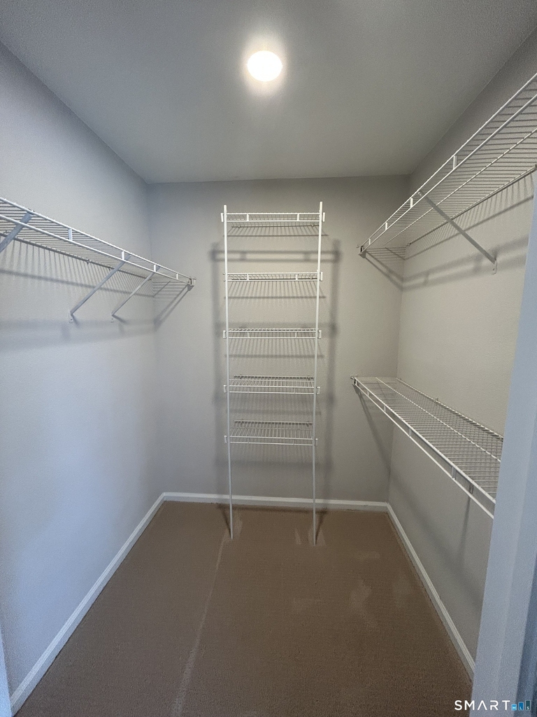 138 Hollow Tree Ridge Road - Photo 9