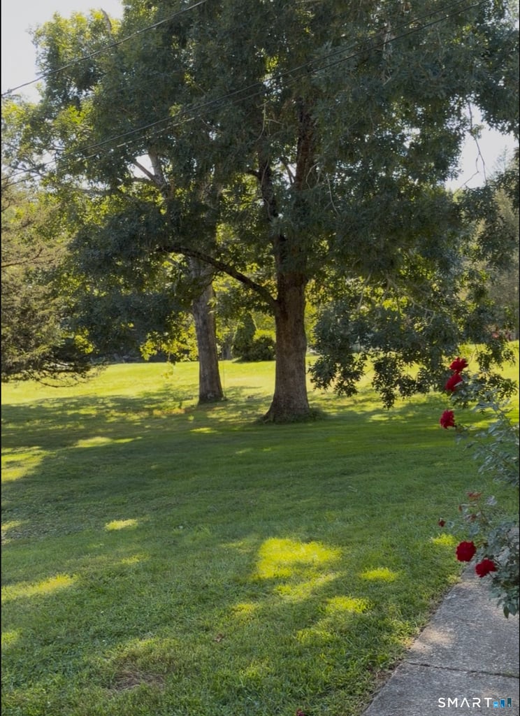 65 Old Brooklyn Turnpike - Photo 9