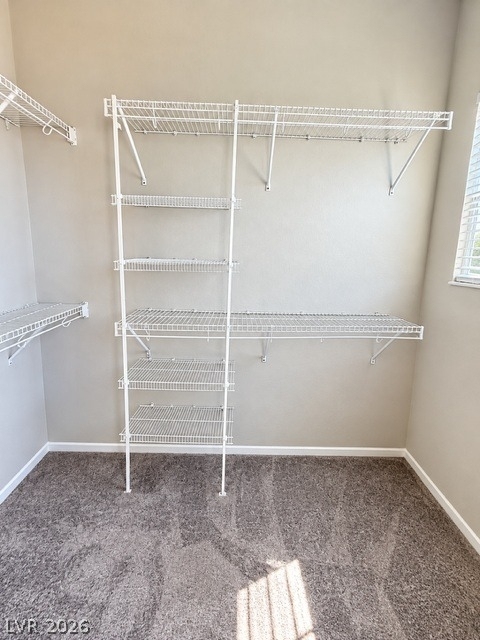 258 Morning Crest Avenue - Photo 7