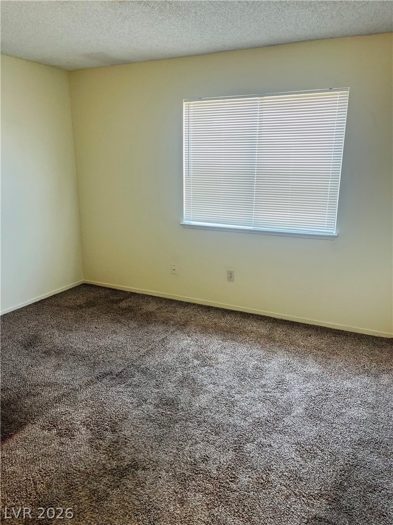 3708 Scuba Circle - Photo 6