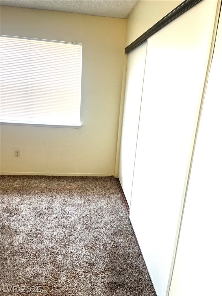 3708 Scuba Circle - Photo 7