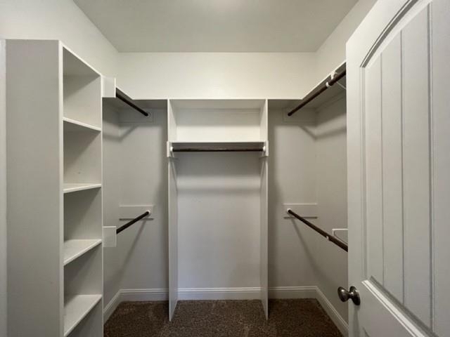 6642 Summerwood Trail - Photo 17