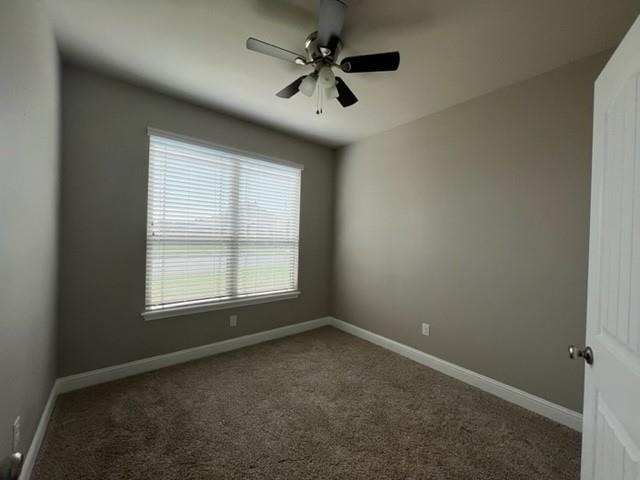 6642 Summerwood Trail - Photo 22