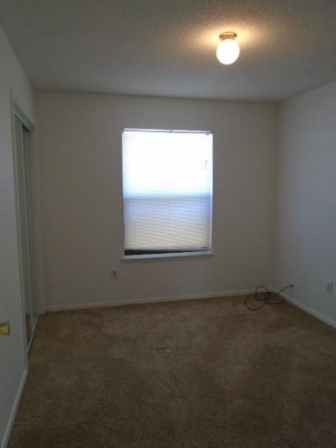 3910 Trinity Lane - Photo 7