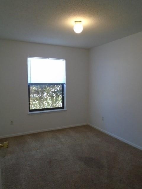 3910 Trinity Lane - Photo 5