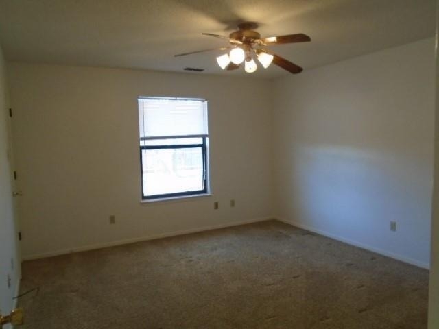 3910 Trinity Lane - Photo 9