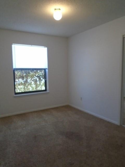 3910 Trinity Lane - Photo 6