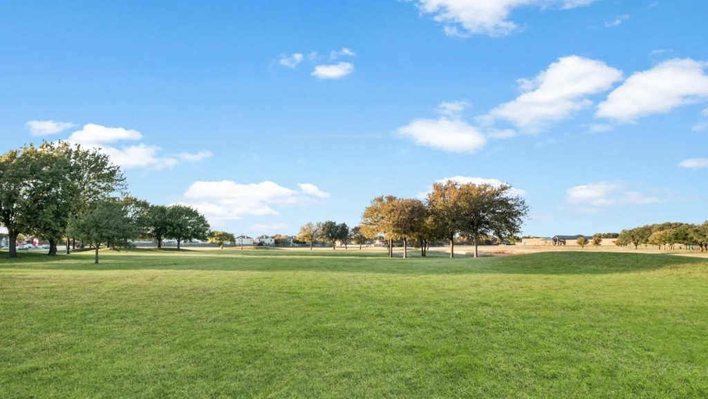 8328 Yaupon Holly Trail - Photo 15