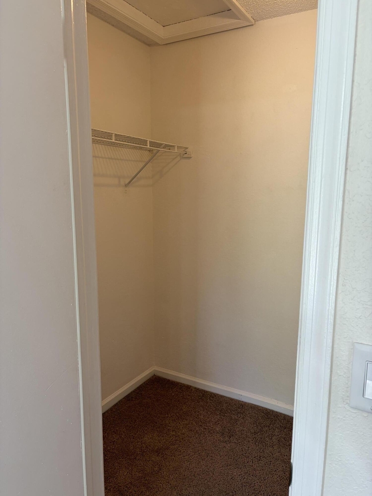 1303 Hempstead Street - Photo 11