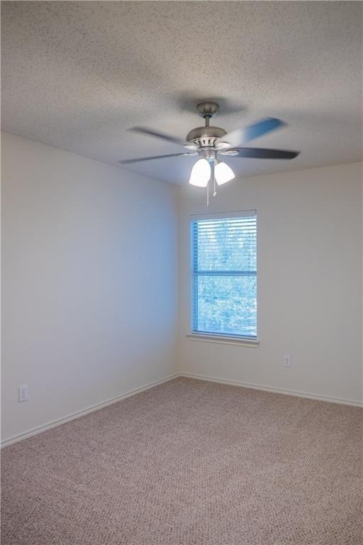160 Fallkirk Drive - Photo 12
