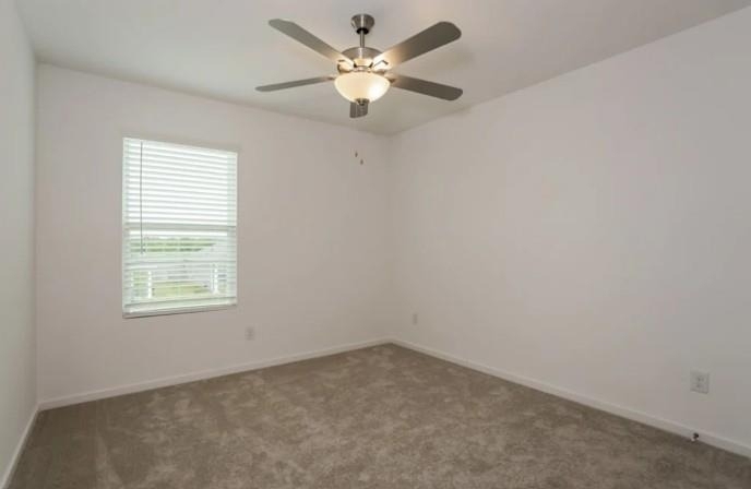 5105 Hidden Treasure Lane - Photo 8