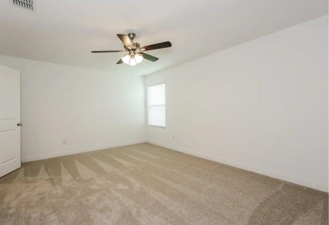 4909 Grey Fallow Street - Photo 5