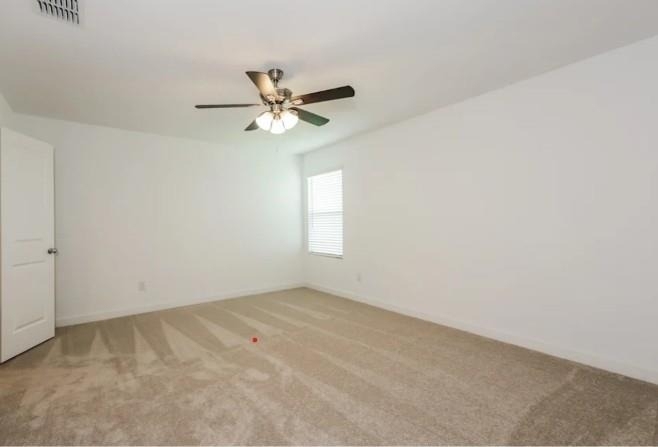 4909 Grey Fallow Street - Photo 3