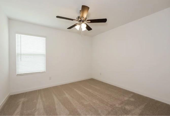 4909 Grey Fallow Street - Photo 7