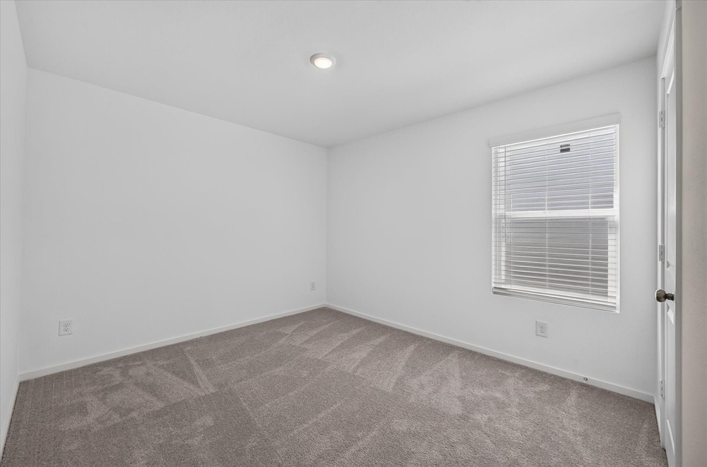 5318 Cinnamon Lane - Photo 15