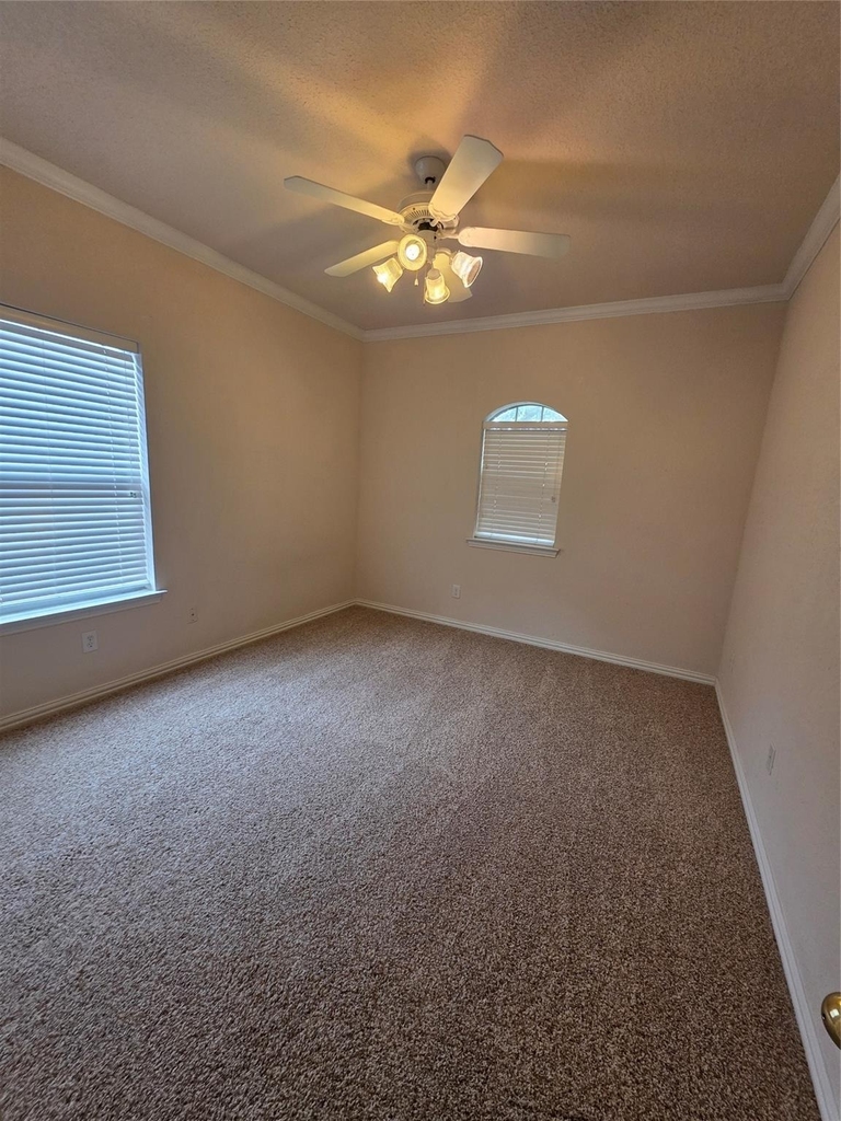 1507 Browning Lane - Photo 20