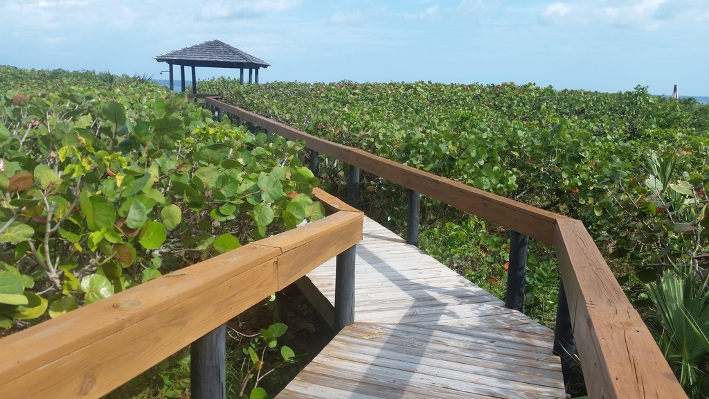 2800 N Highway A1a - Photo 7