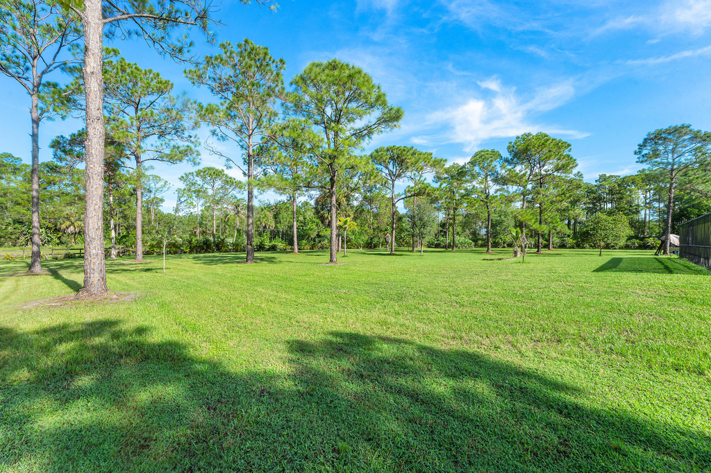 14087 Cocoa Plum Road - Photo 16