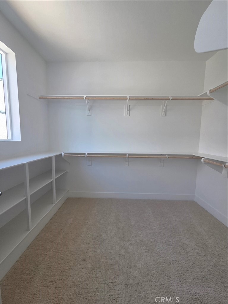 1025 Citron Road - Photo 12