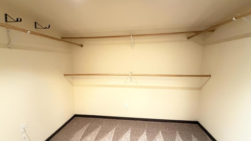 54080 Pine Crest Avenue - Photo 11