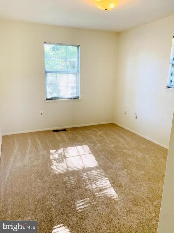 18640 Blue Violet Lane - Photo 13