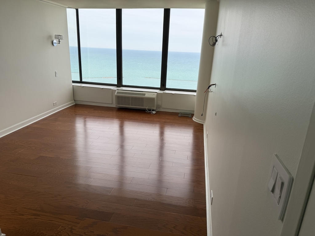 505 N Lake Shore Drive - Photo 35