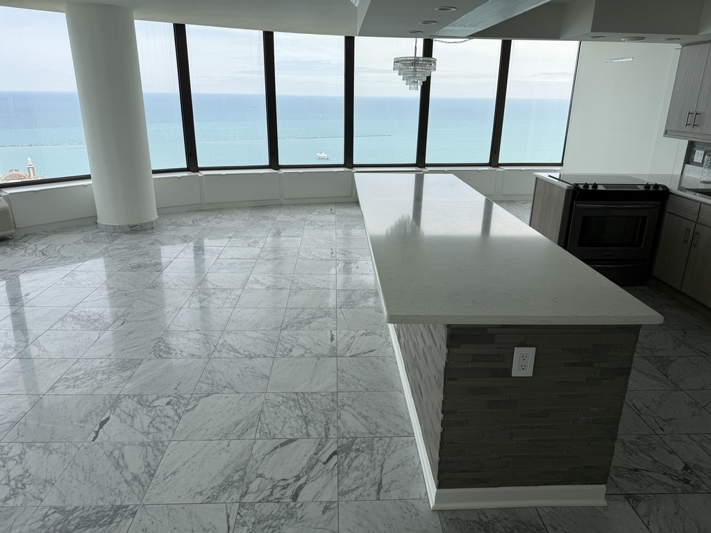 505 N Lake Shore Drive - Photo 9
