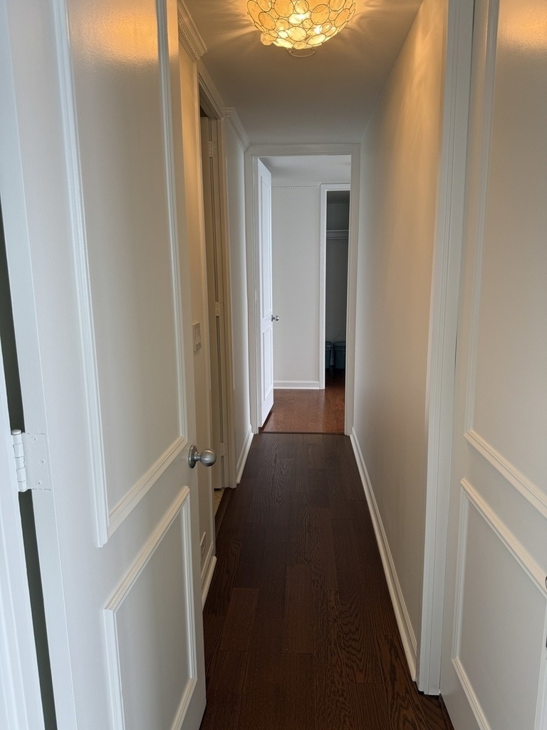 505 N Lake Shore Drive - Photo 30