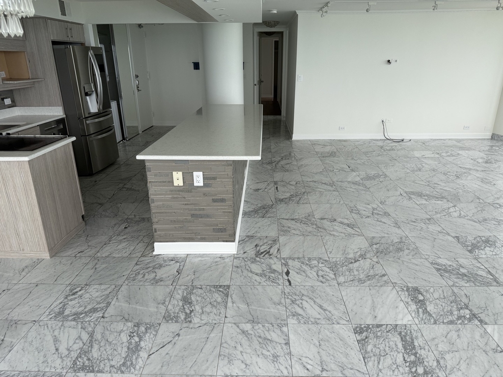 505 N Lake Shore Drive - Photo 19