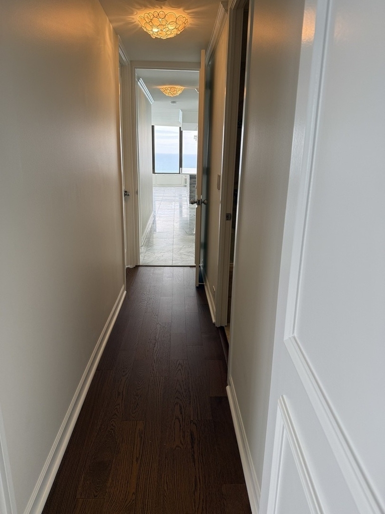 505 N Lake Shore Drive - Photo 33