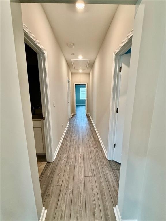 4266 Waxwing Street - Photo 12