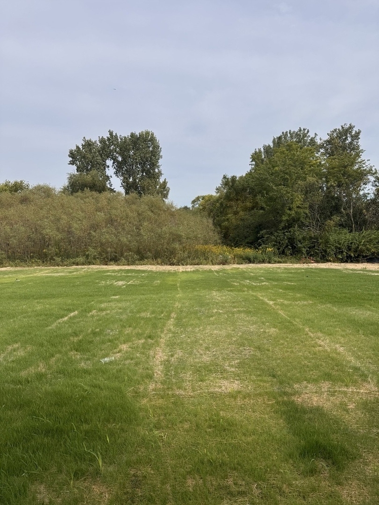 428 Lakeshore Court - Photo 17