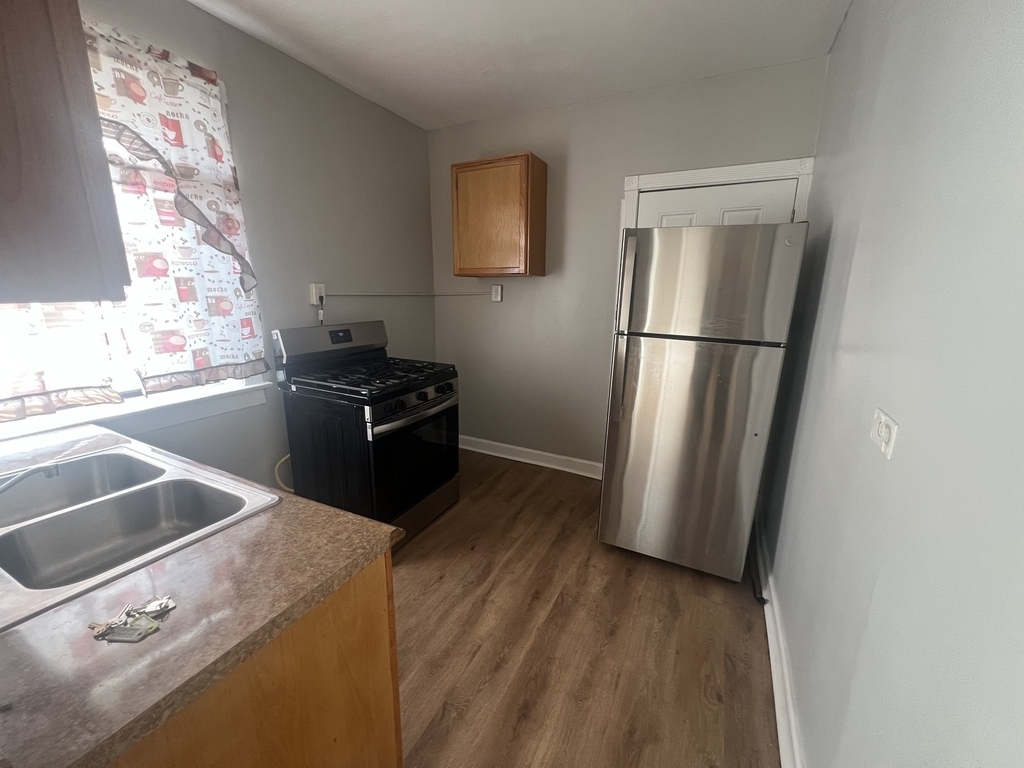 243 E 108th Street - Photo 4