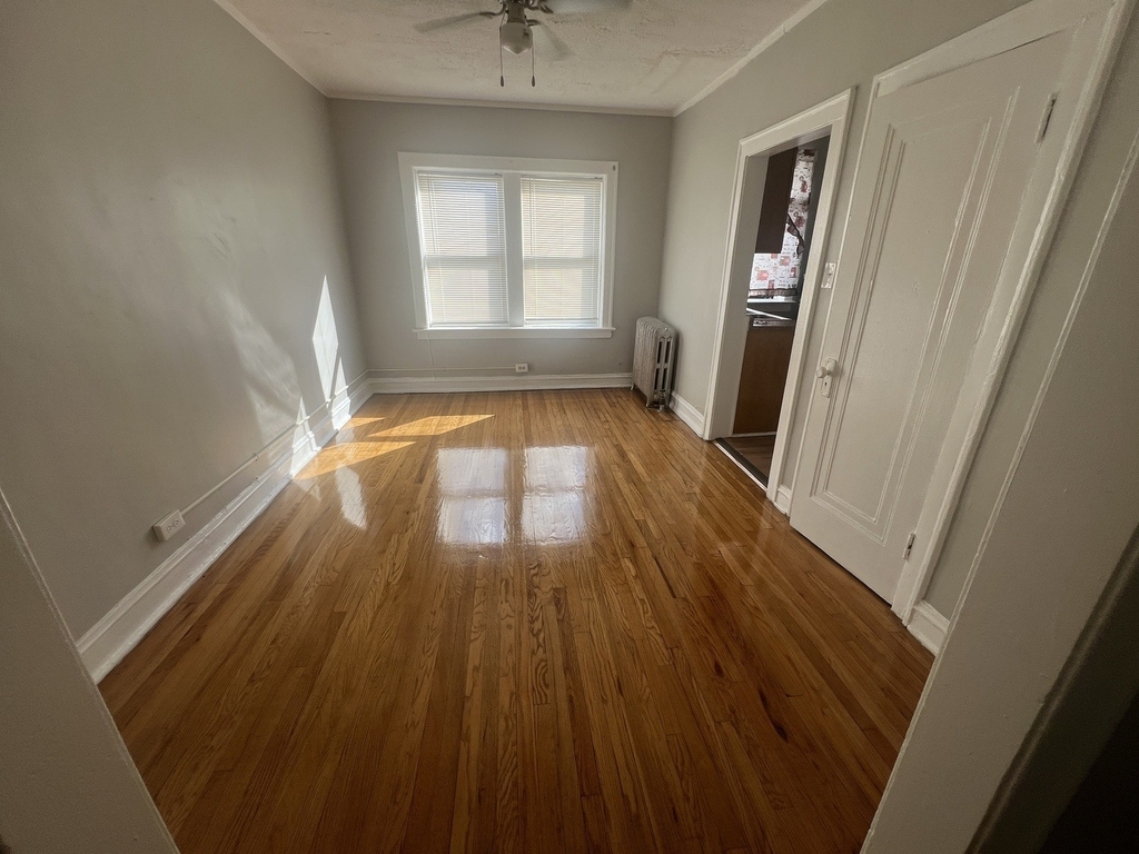 243 E 108th Street - Photo 1