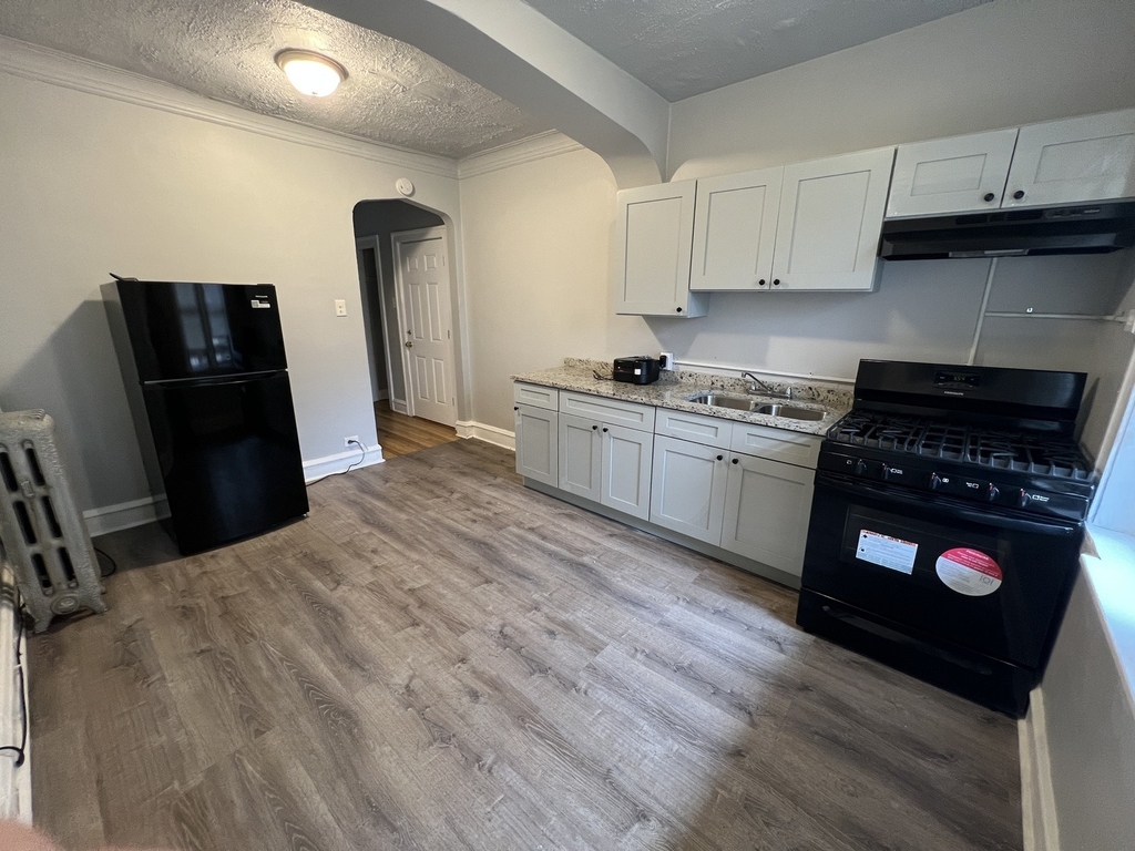 1441 W 93rd Street - Photo 1