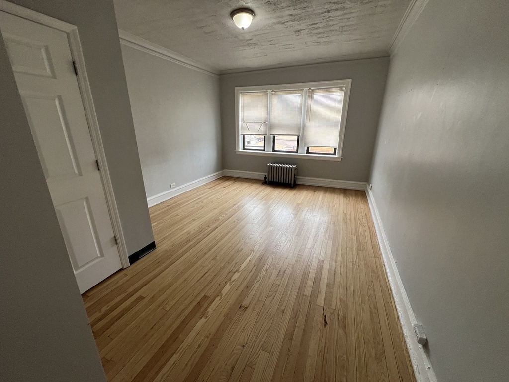 1441 W 93rd Street - Photo 3