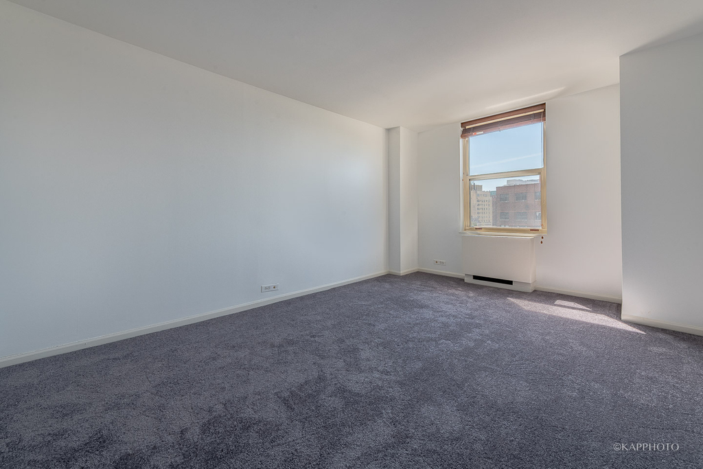 525 W Hawthorne Place - Photo 11
