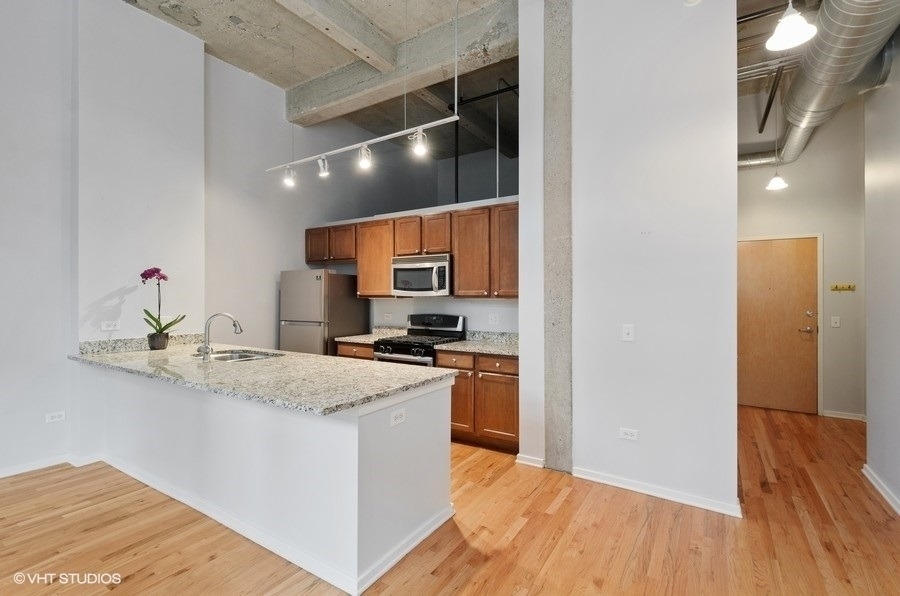 1735 N Paulina Street - Photo 1