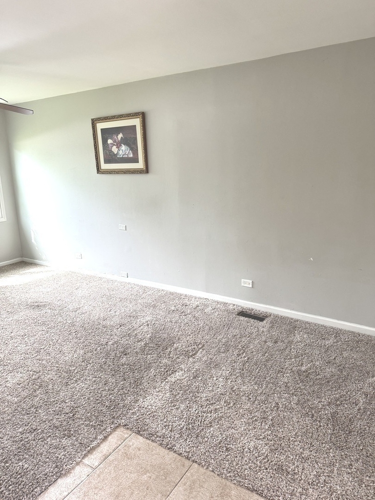 10 W Thacker Street - Photo 7