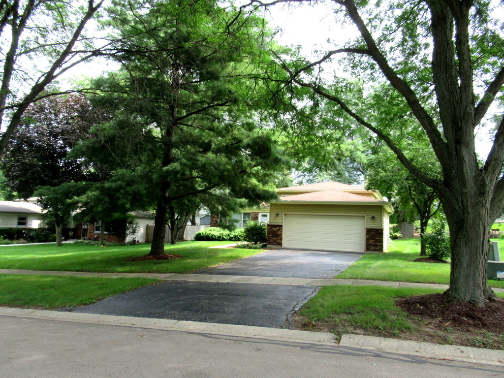 822 Spruce Street - Photo 5
