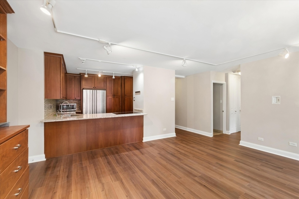 211 E Ohio Street - Photo 3