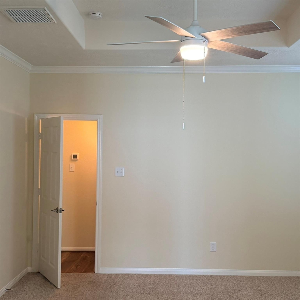 21406 Avalon Queen Drive - Photo 19
