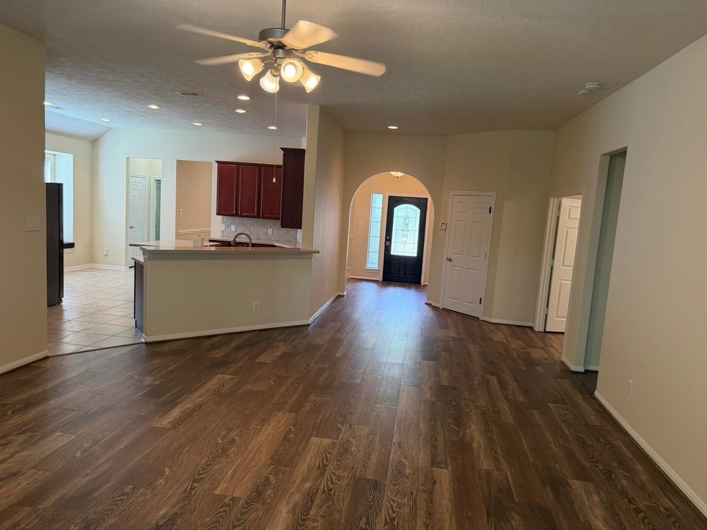 21406 Avalon Queen Drive - Photo 4