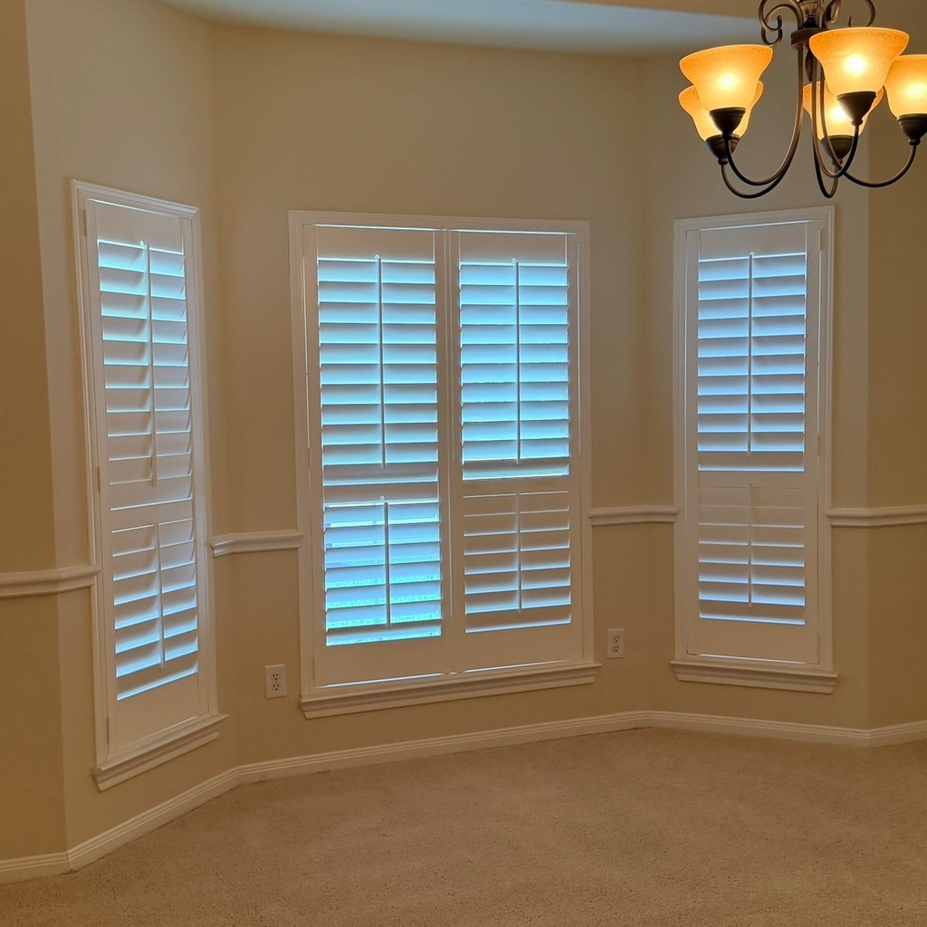 21406 Avalon Queen Drive - Photo 6
