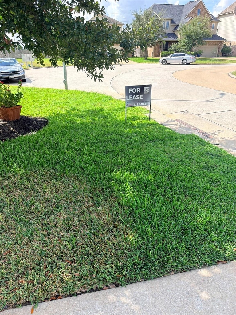 21406 Avalon Queen Drive - Photo 36