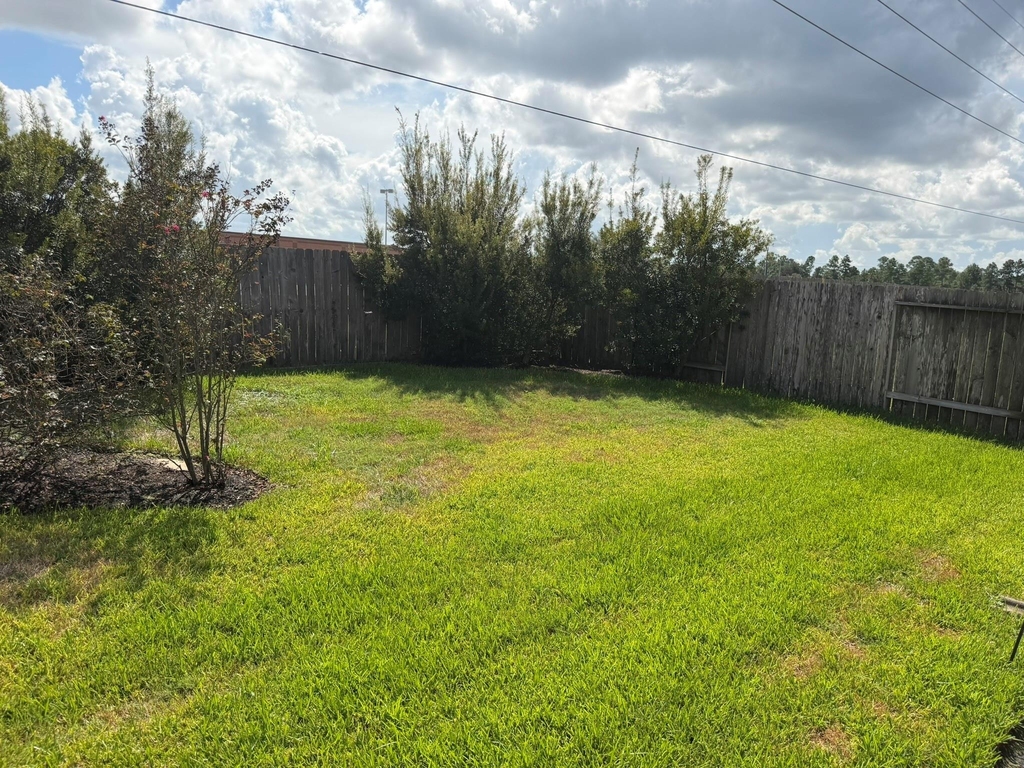 21406 Avalon Queen Drive - Photo 32