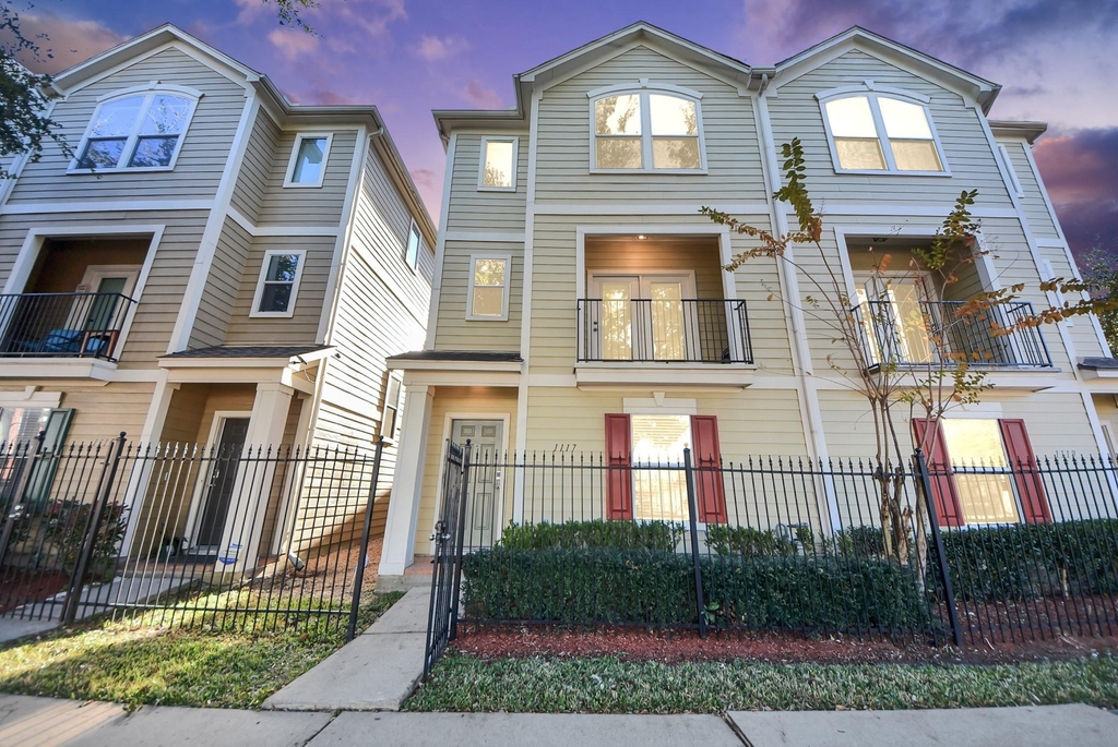 1117 Palmer Street - Photo 0