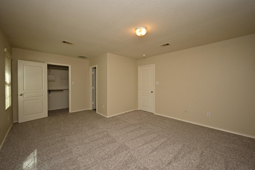 16806 Mammoth Springs Drive - Photo 11
